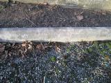 image of grave number 362936